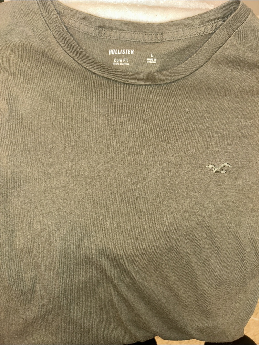 Hollister Men's Crew Neck Tee in Olive